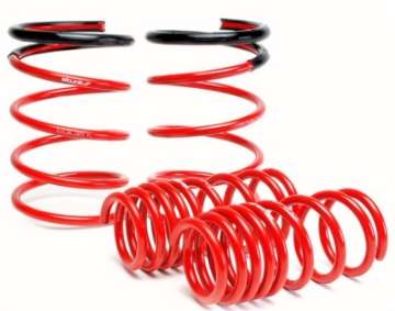 Picture of Skunk2 02-04 Acura RSX Lowering Springs 2-25in - 2-00in- Set of 4