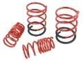 Picture of Skunk2 02-04 Acura RSX Lowering Springs 2-25in - 2-00in- Set of 4