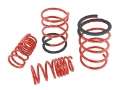 Picture of Skunk2 05-06 Acura RSX Lowering Springs 2-25in - 2-00in- Set of 4