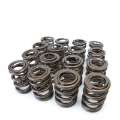 Picture of Skunk2 Tuner Series Honda-Acura H22A-F20B DOHC VTEC Alpha Valve Spring Set Dual Springs