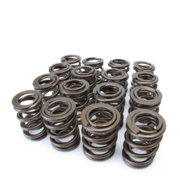 Picture of Skunk2 Tuner Series Honda-Acura H22A-F20B DOHC VTEC Alpha Valve Spring Set Dual Springs