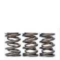 Picture of Skunk2 Tuner Series Honda-Acura H22A-F20B DOHC VTEC Alpha Valve Spring Set Dual Springs