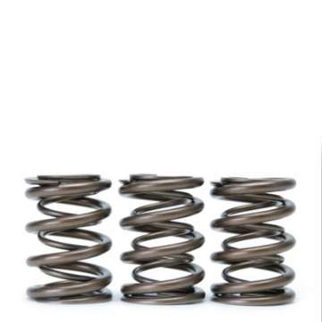 Picture of Skunk2 Tuner Series Honda-Acura H22A-F20B DOHC VTEC Alpha Valve Spring Set Dual Springs