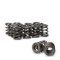 Picture of Skunk2 Tuner Series Honda-Acura K20-K24-F20C-F22C DOHC VTEC Alpha Valve Spring Set Dual Springs