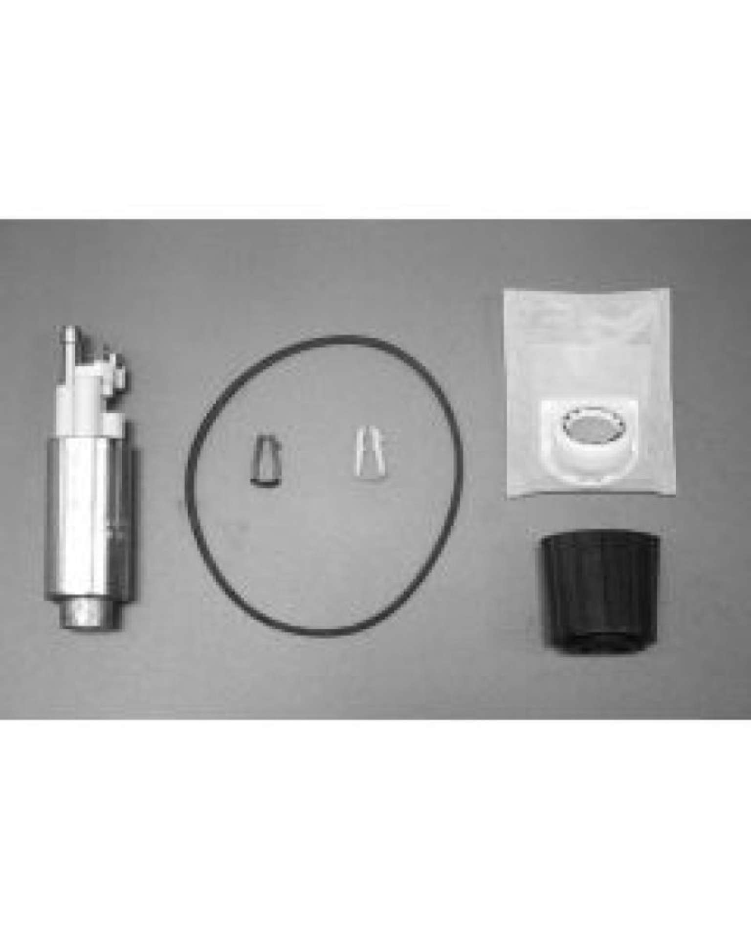 Picture of Walbro 95-97 Ford Windstar Fuel Pump-Filter Assembly