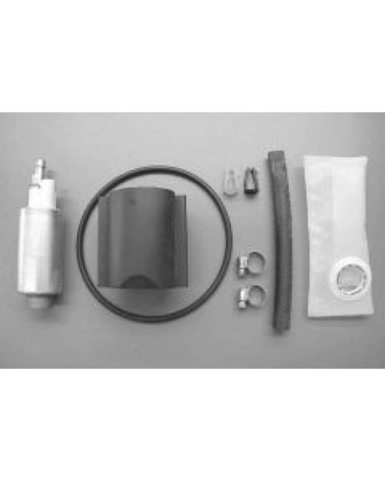 Picture of Walbro 90 Lincoln Town Car Fuel Pump-Filter Assembly