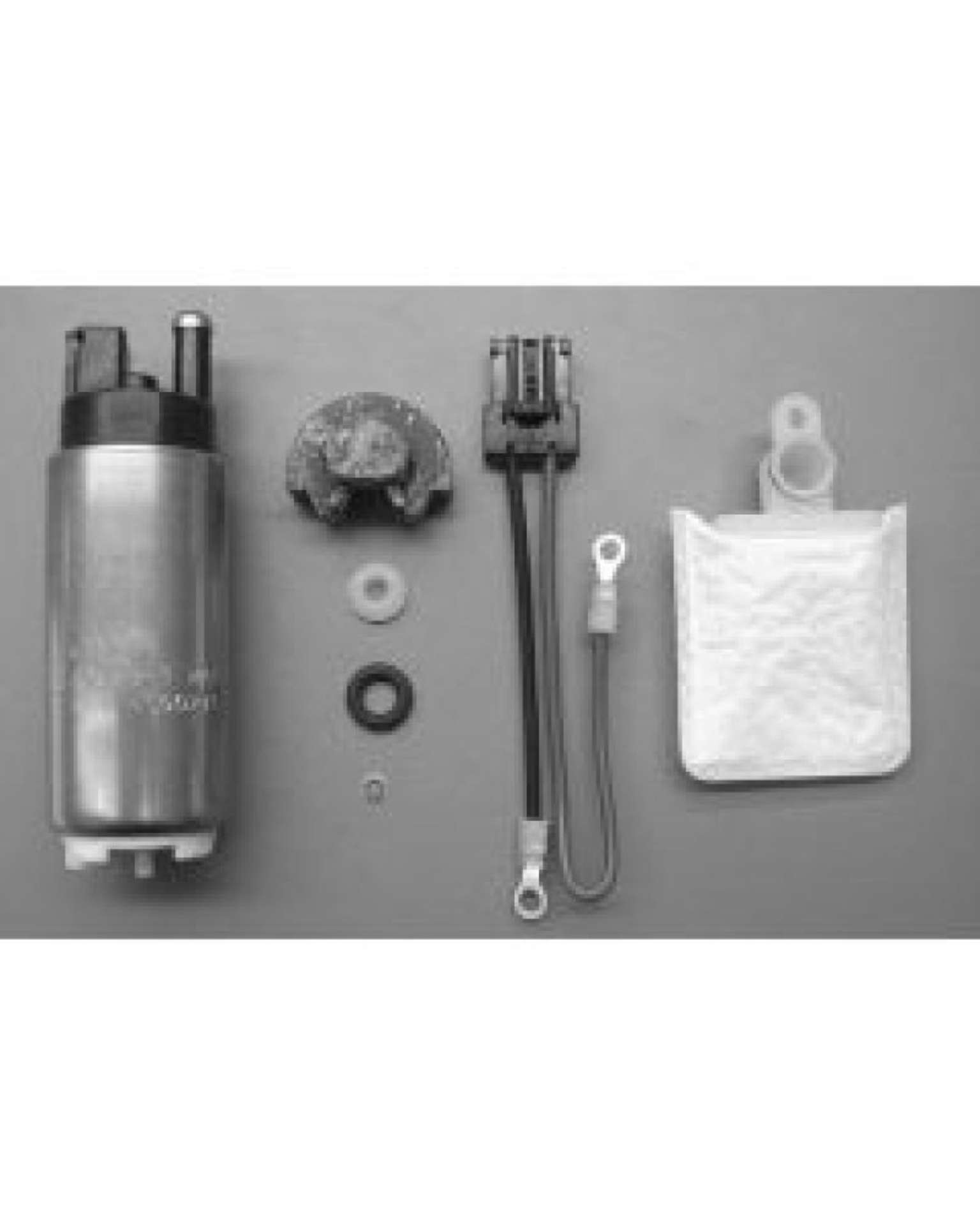 Picture of Walbro Fuel Pump-Filter Assembly