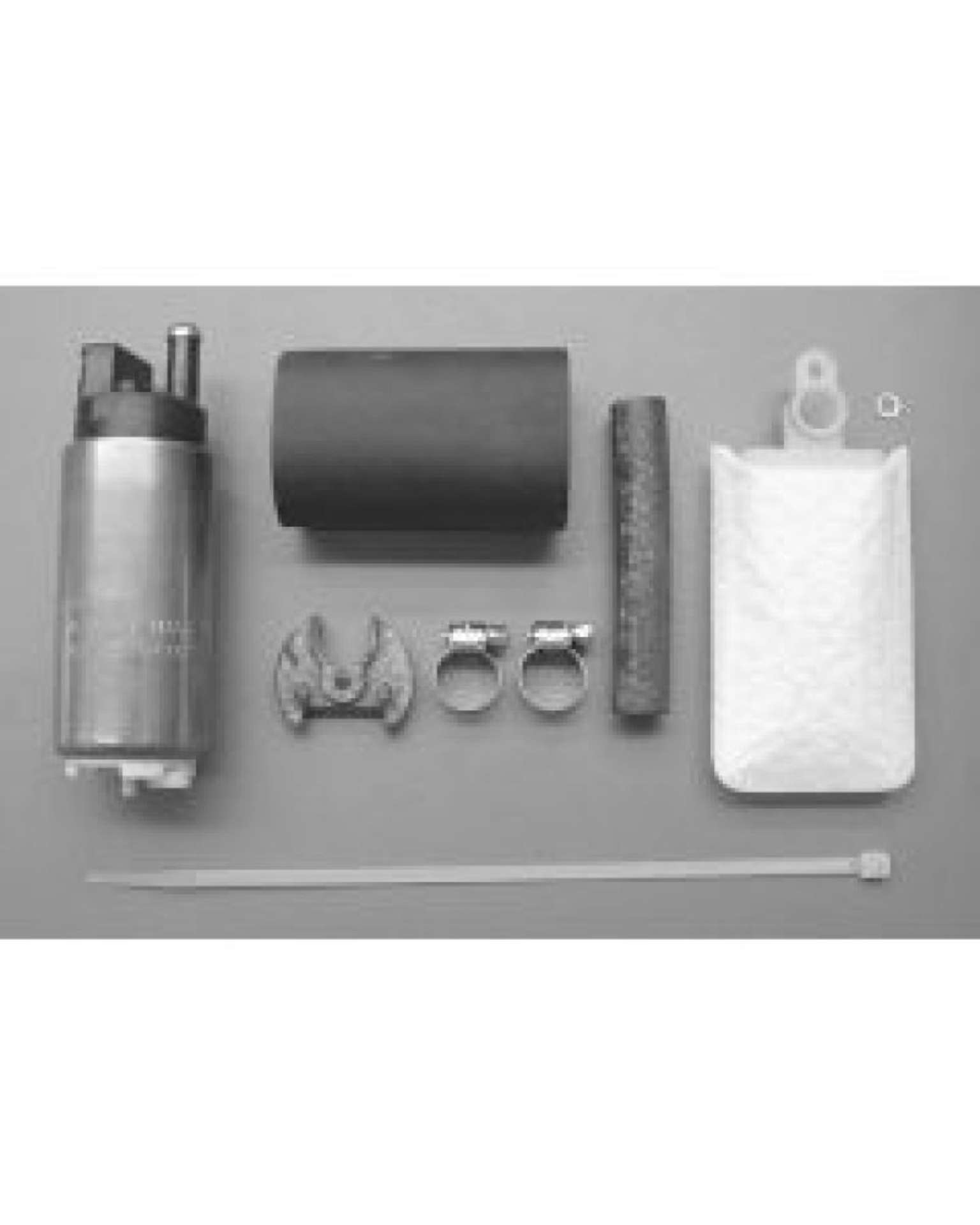 Picture of Walbro Fuel Pump-Filter Assembly