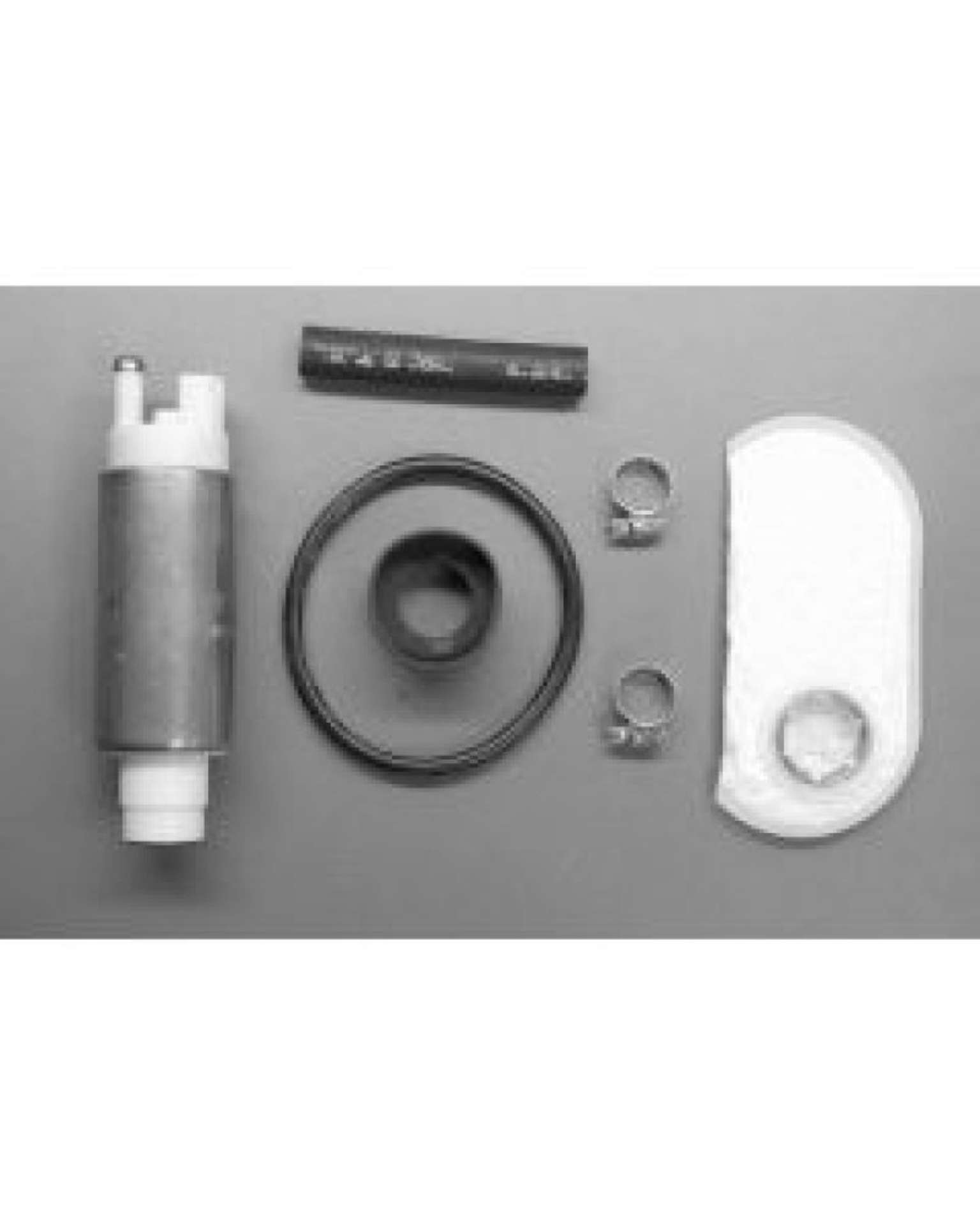 Picture of Walbro Fuel Pump-Filter Assembly