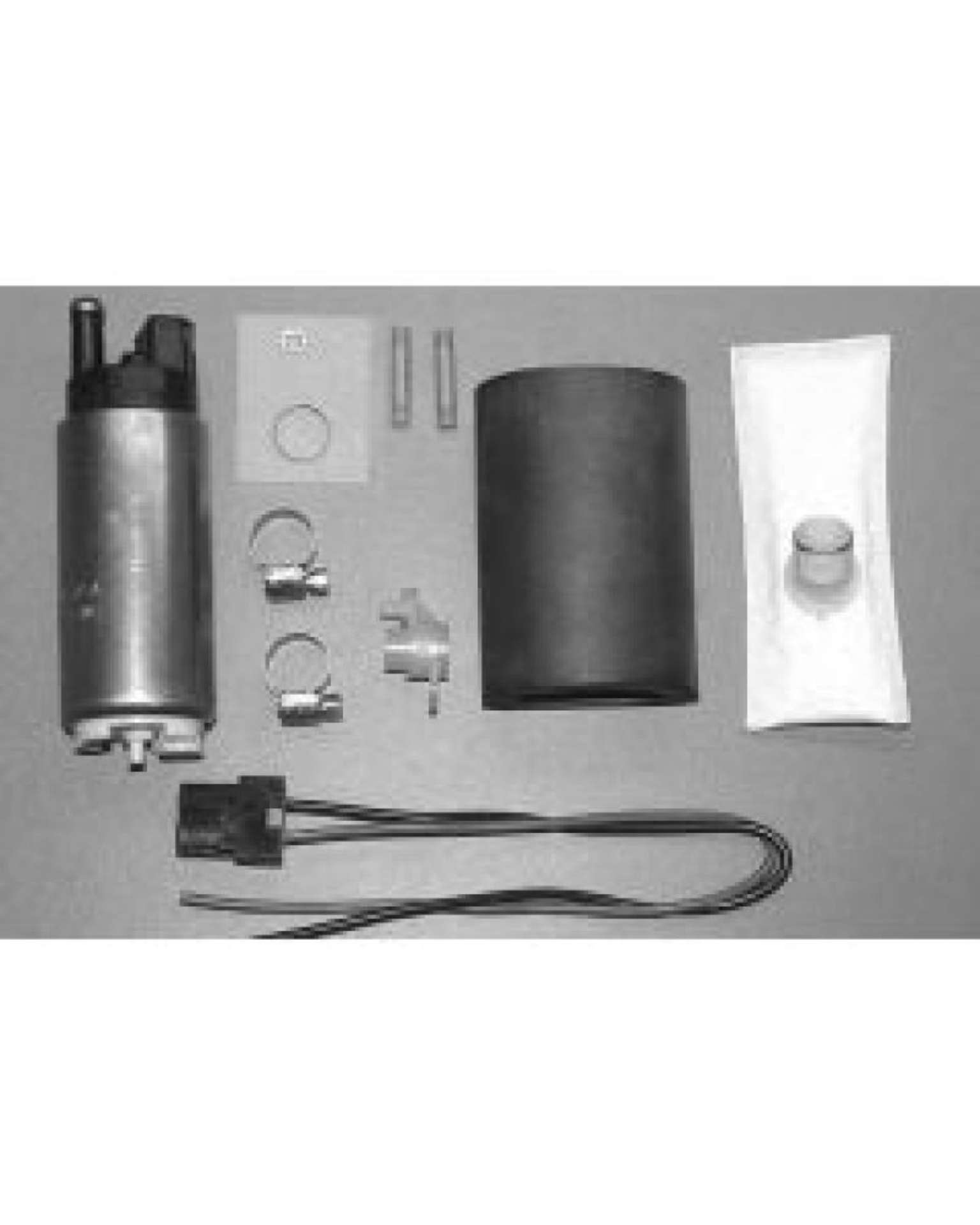 Picture of Walbro Fuel Pump-Filter Assembly