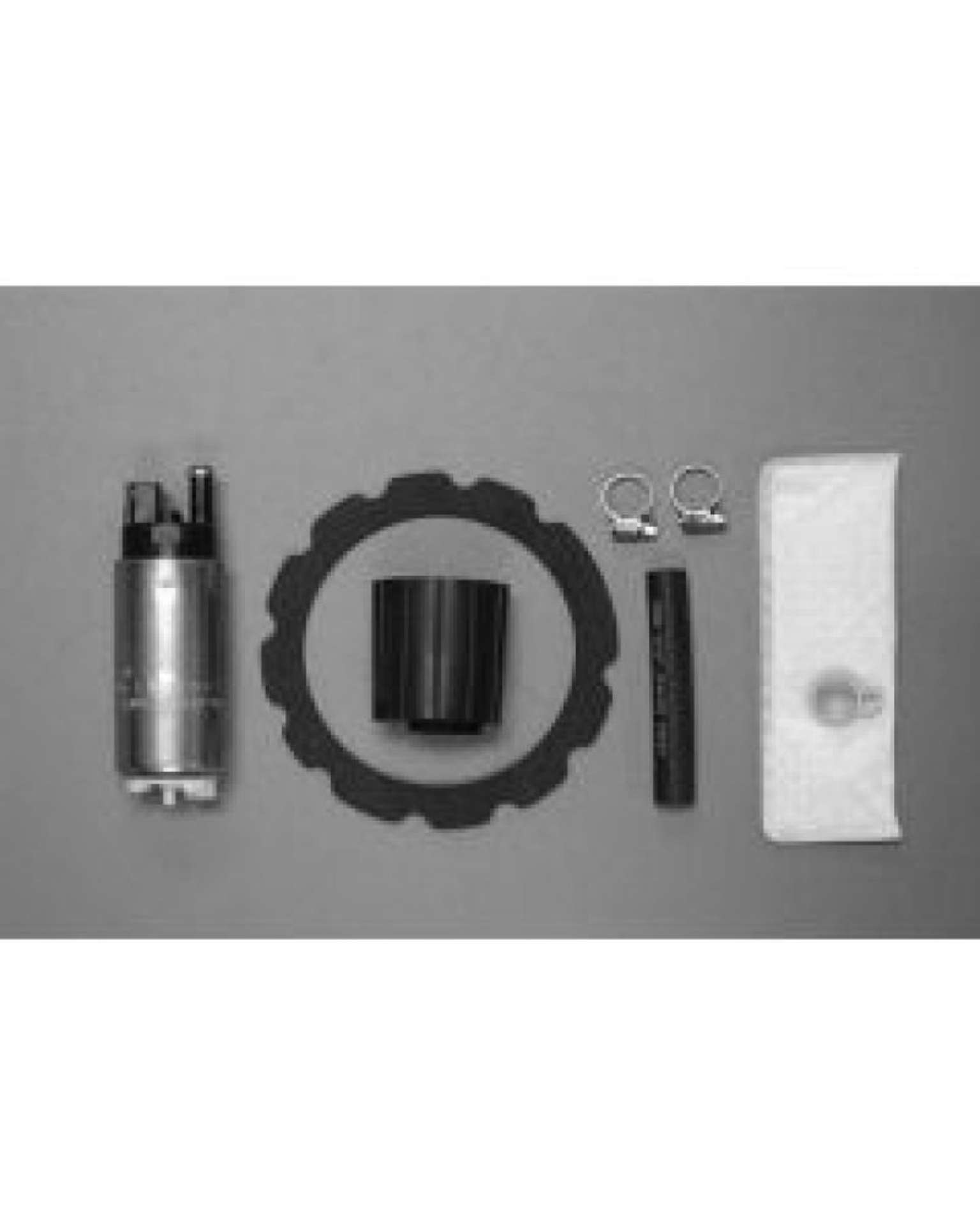 Picture of Walbro Fuel Pump-Filter Assembly