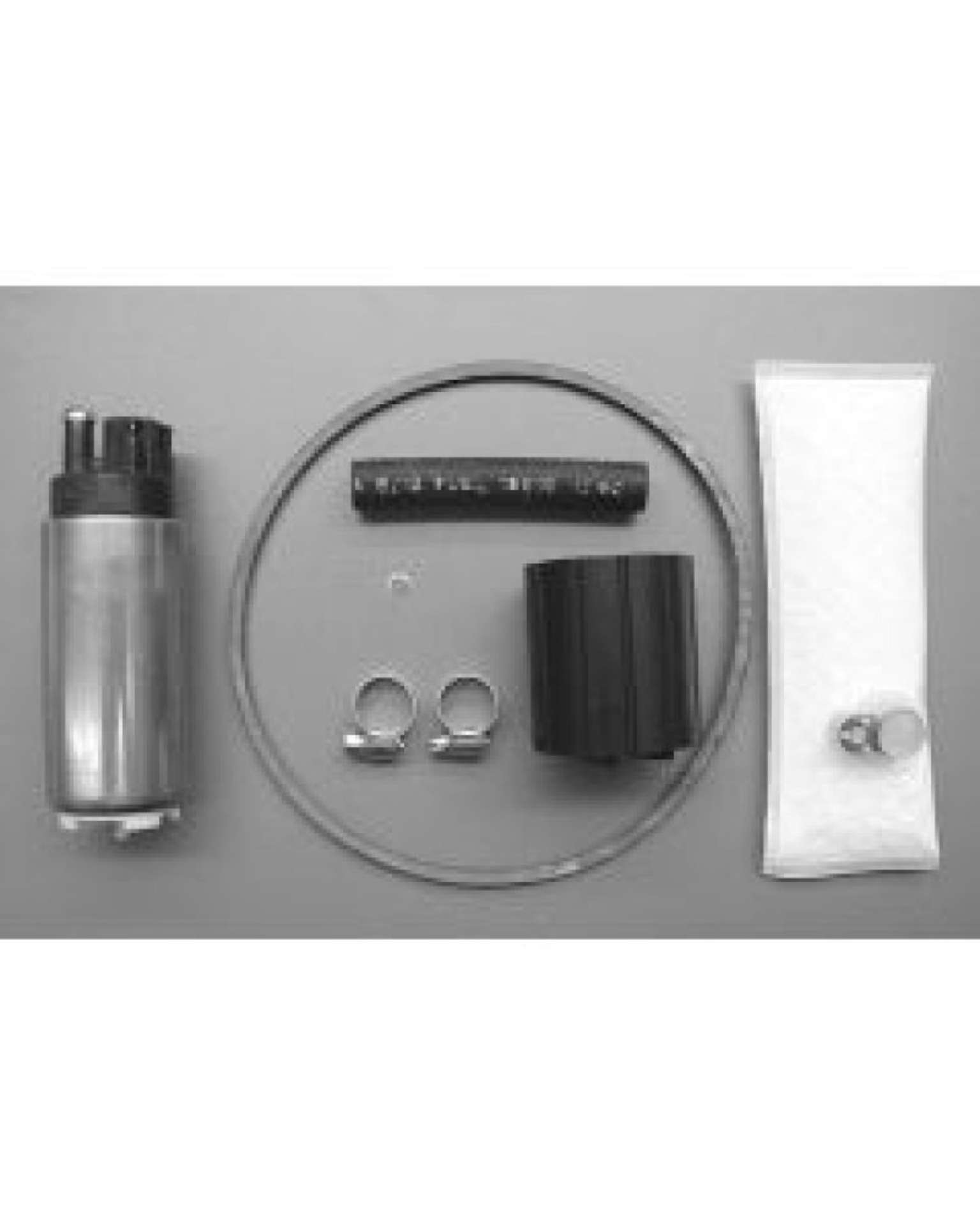 Picture of Walbro Fuel Pump-Filter Assembly