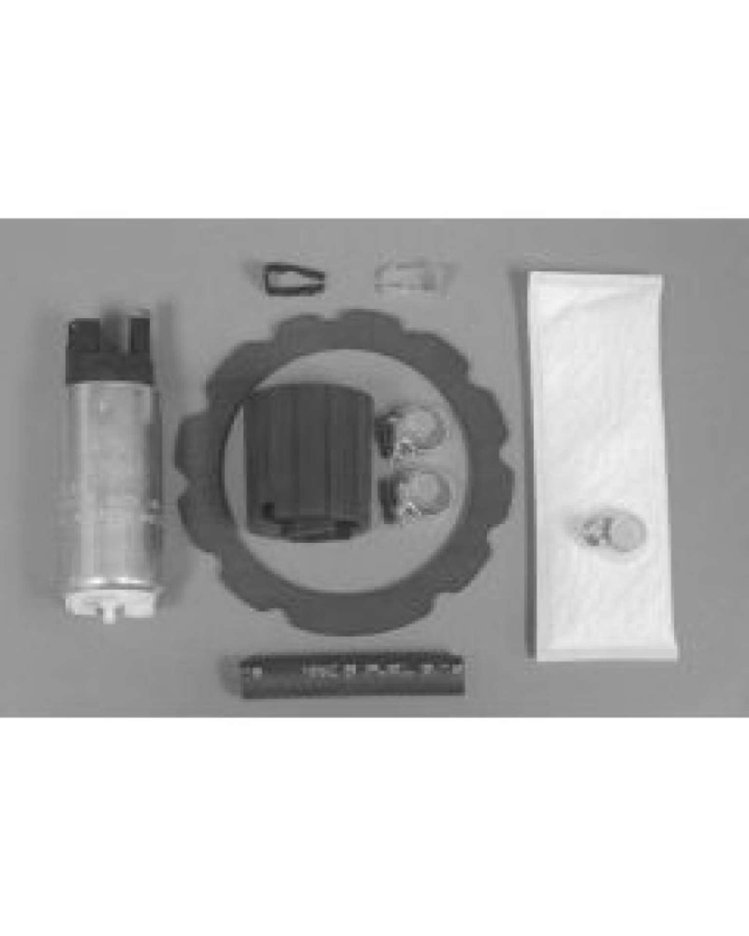 Picture of Walbro Fuel Pump-Filter Assembly