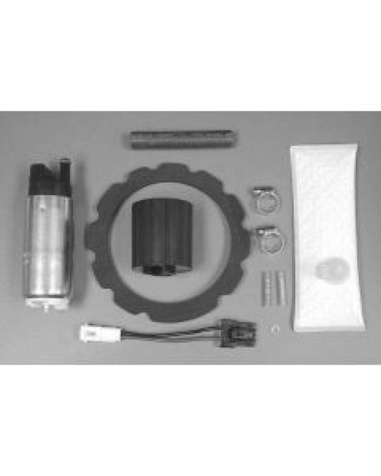 Picture of Walbro Fuel Pump-Filter Assembly