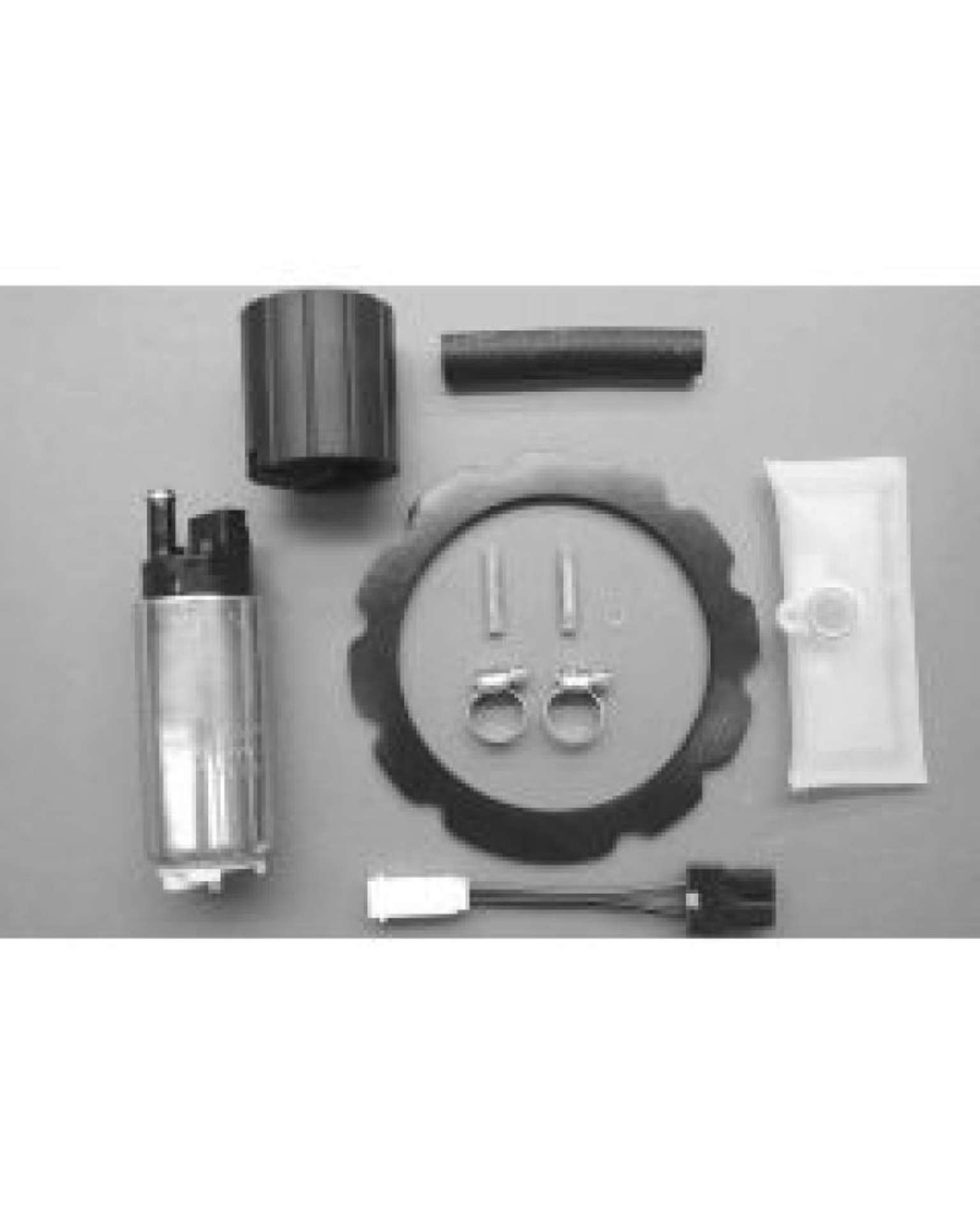 Picture of Walbro Fuel Pump-Filter Assembly