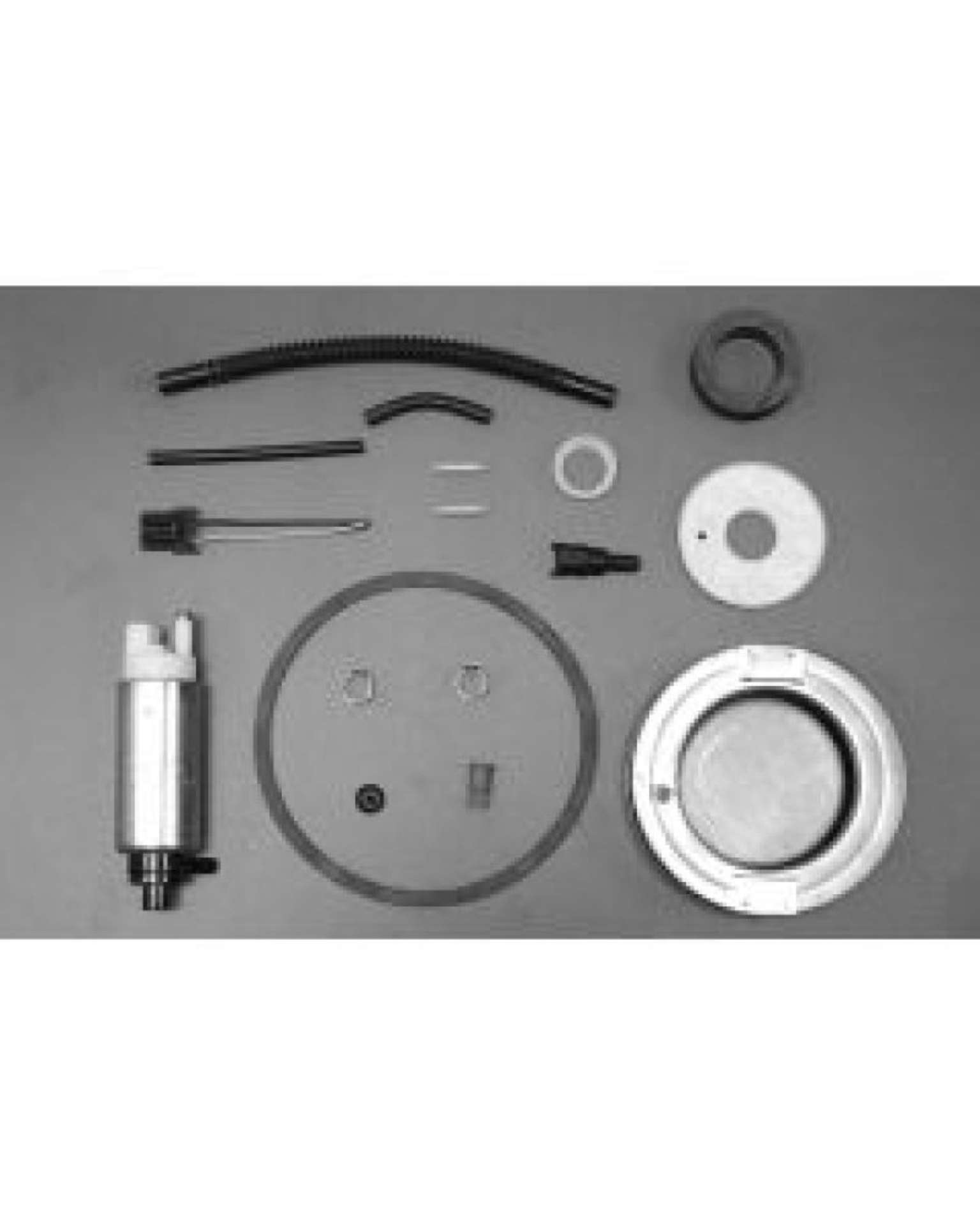 Picture of Walbro Fuel Pump-Filter Assembly