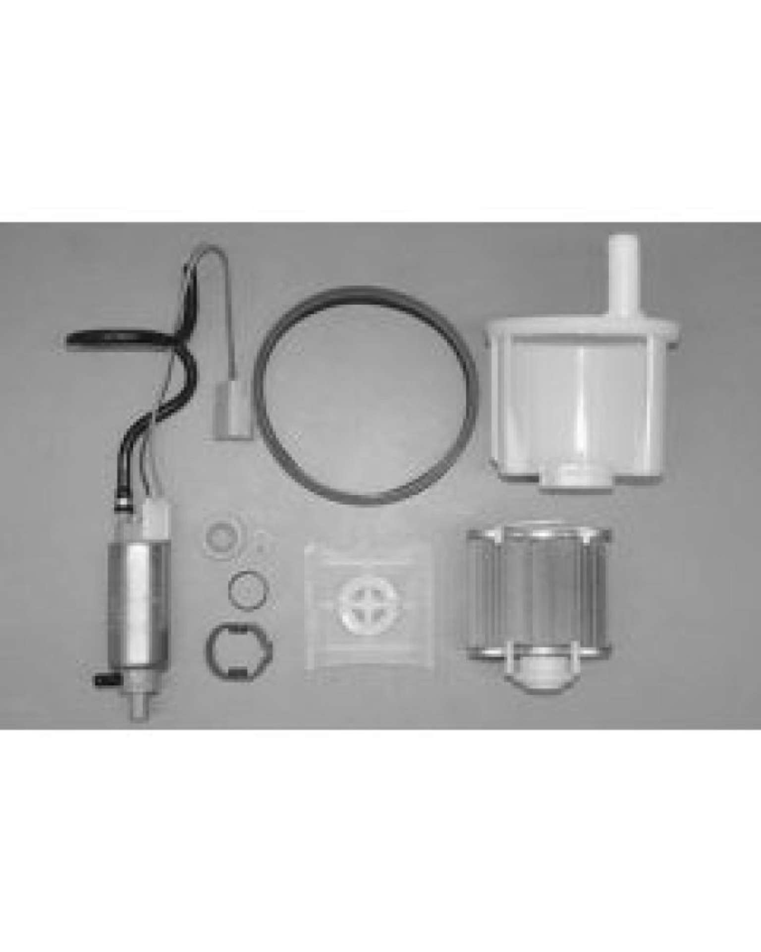 Picture of Walbro Fuel Pump-Filter Assembly