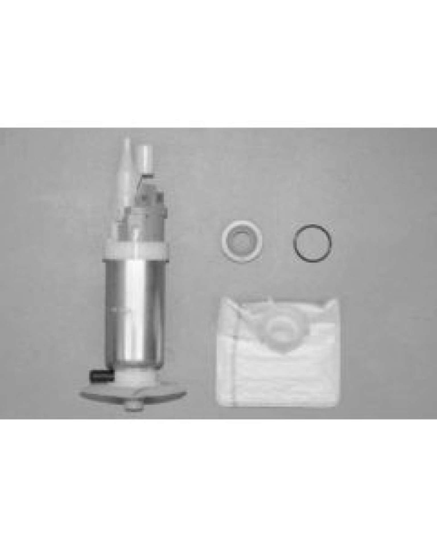 Picture of Walbro Fuel Pump-Filter Assembly