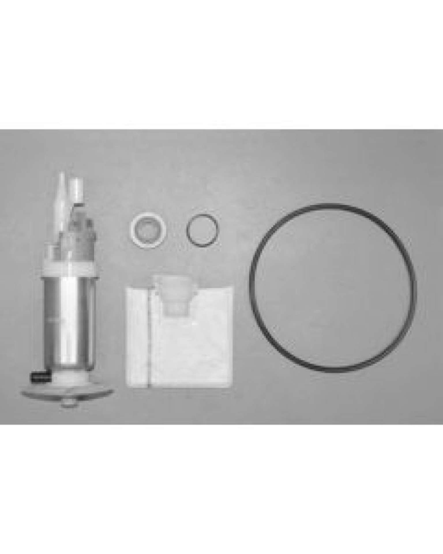 Picture of Walbro Fuel Pump-Filter Assembly