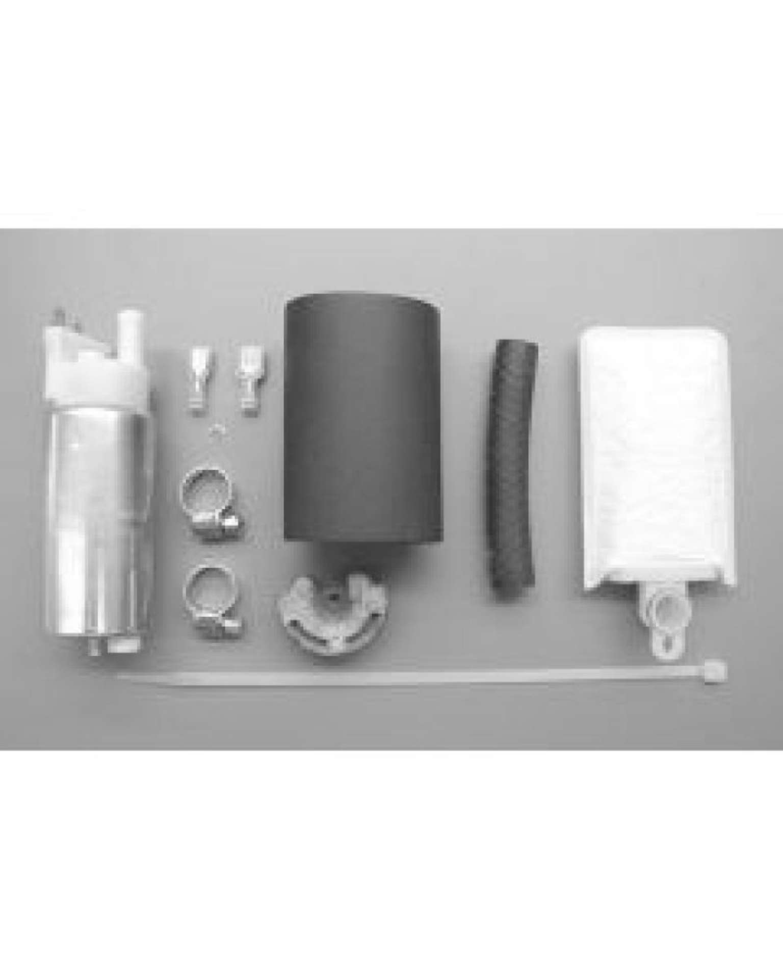 Picture of Walbro Fuel Pump-Filter Assembly