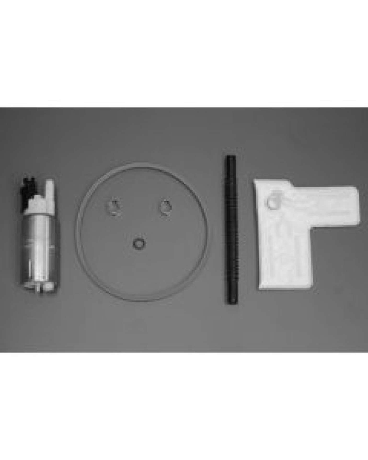 Picture of Walbro Fuel Pump-Filter Assembly