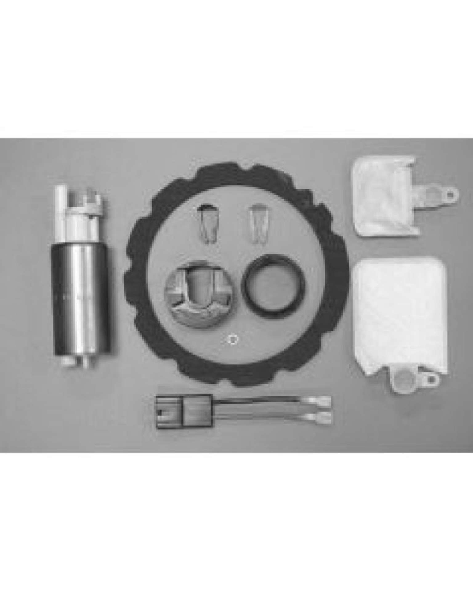 Picture of Walbro Fuel Pump-Filter Assembly