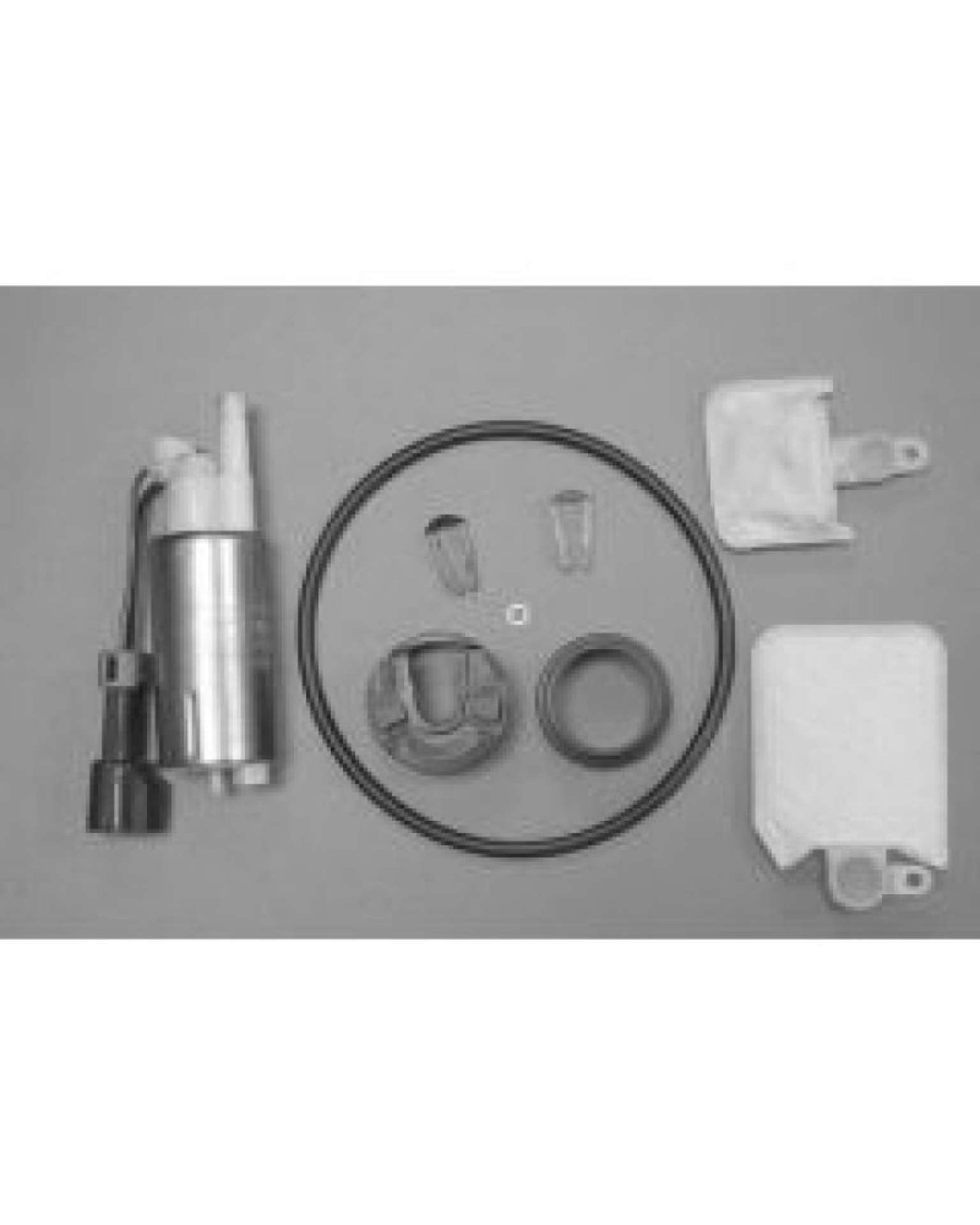 Picture of Walbro Fuel Pump-Filter Assembly