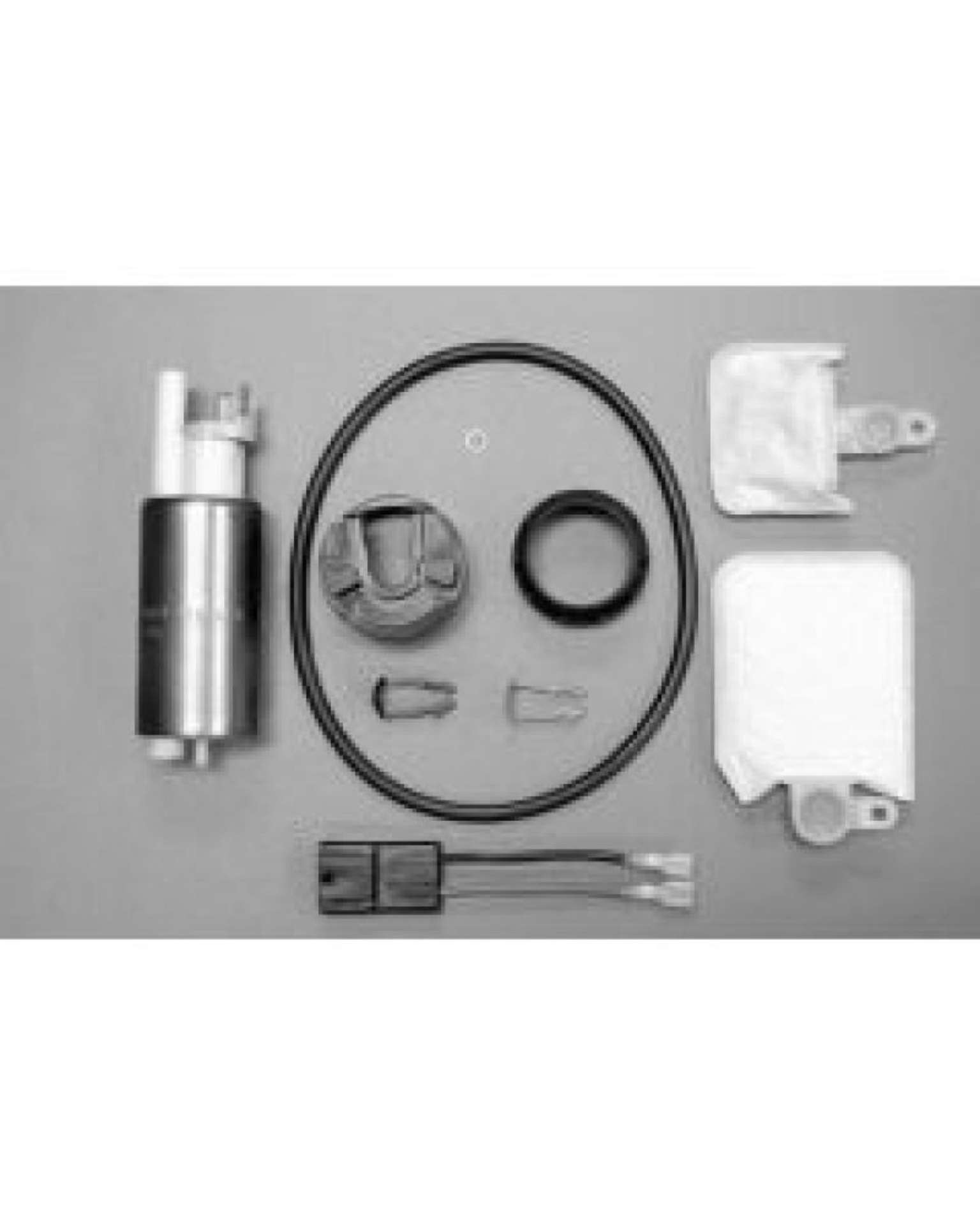 Picture of Walbro Fuel Pump-Filter Assembly