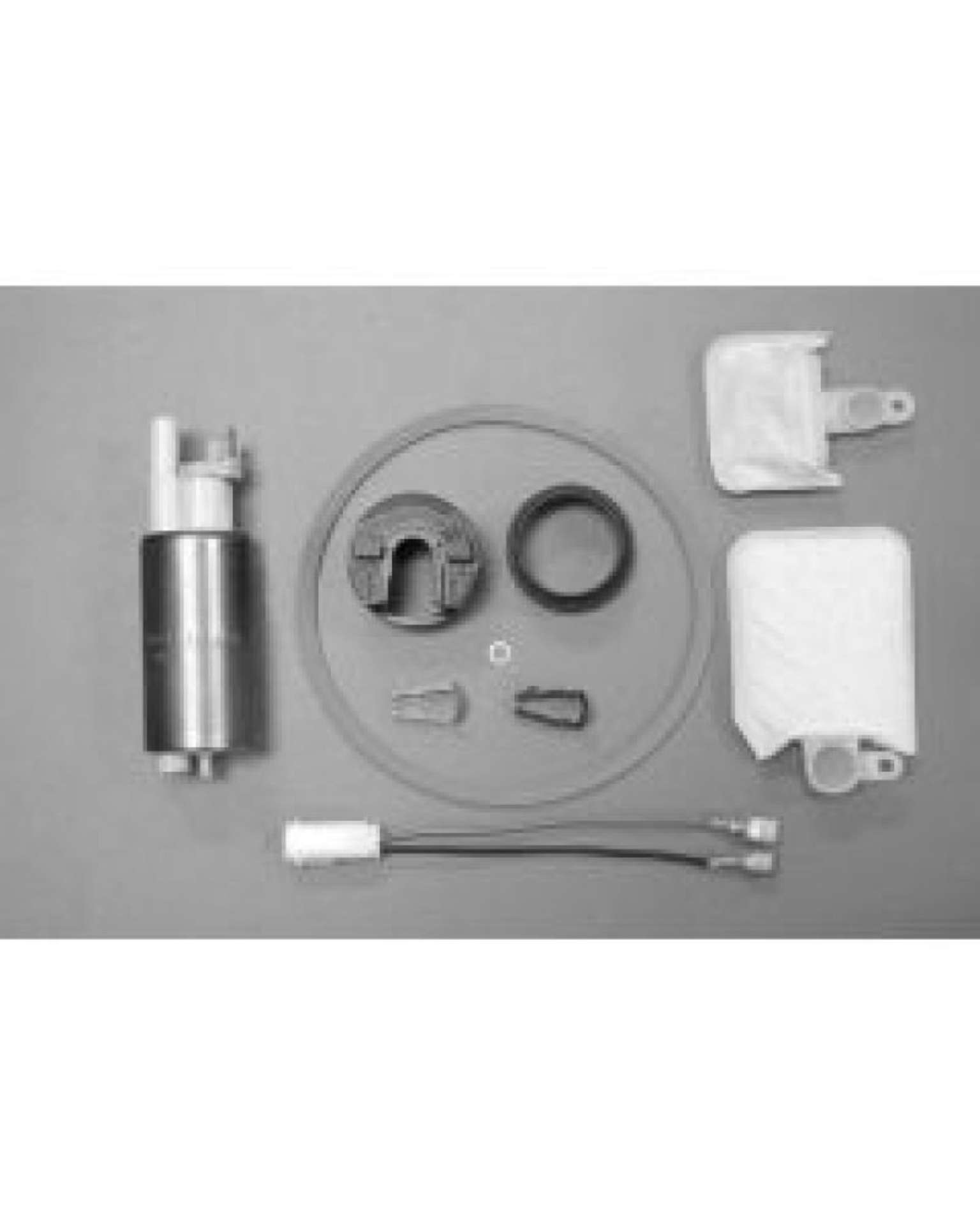 Picture of Walbro Fuel Pump-Filter Assembly