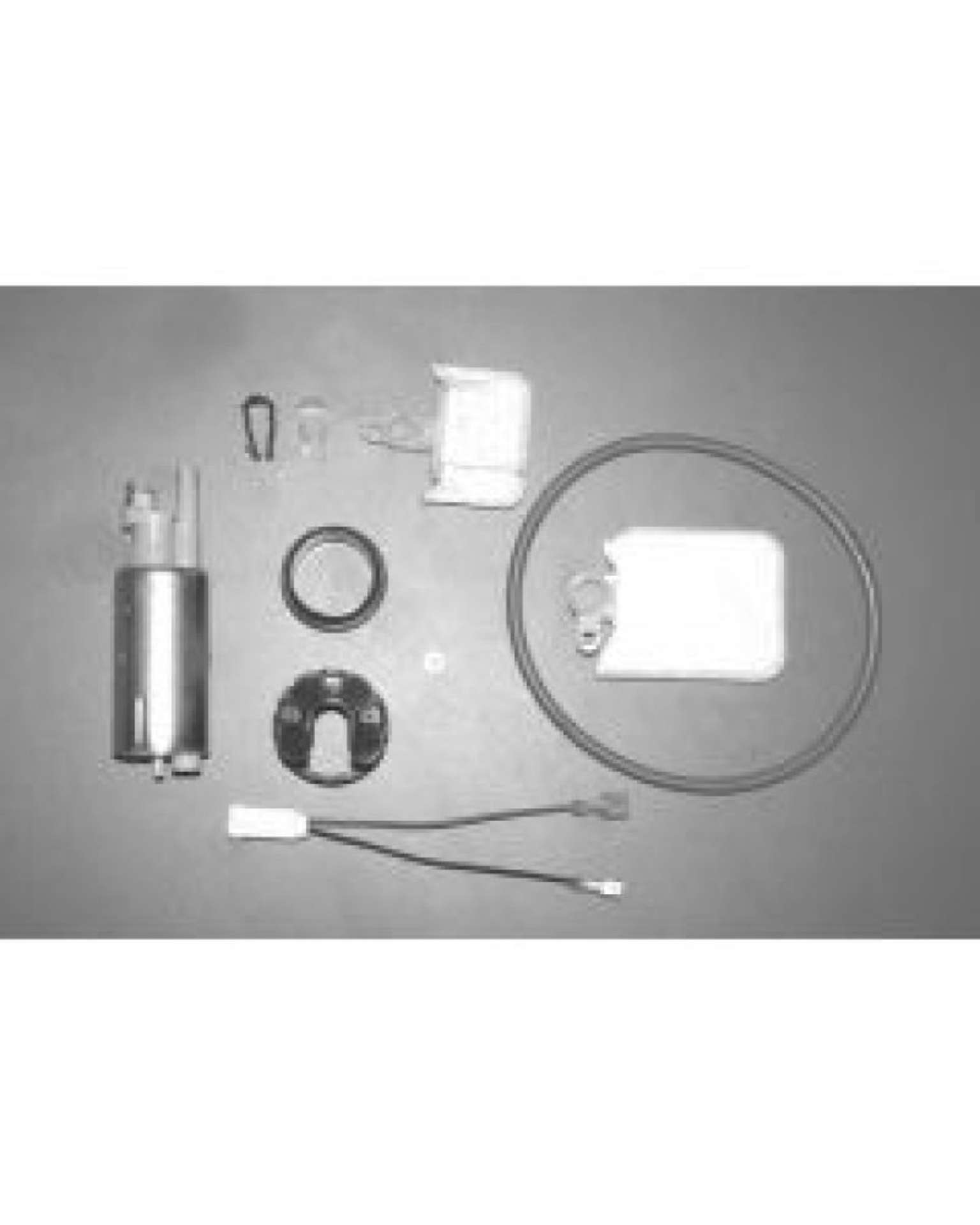 Picture of Walbro Fuel Pump-Filter Assembly