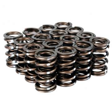 Picture of Skunk2 Pro Series Honda-Acura B-Series VTEC XP Valve Spring Set Dual Springs