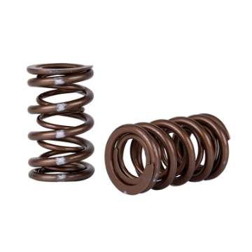 Picture of Skunk2 Pro Series Honda-Acura K-Series i-VTEC XP Valve Spring Set Dual Springs