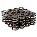 Picture of Skunk2 Pro Series Honda-Acura K-Series i-VTEC XP Valve Spring Set Dual Springs