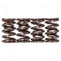 Picture of Skunk2 Pro Series Honda-Acura K-Series i-VTEC XP Valve Spring Set Dual Springs