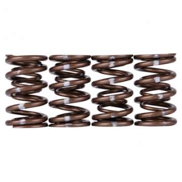 Picture of Skunk2 Pro Series Honda-Acura K-Series i-VTEC XP Valve Spring Set Dual Springs