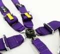 Picture of NRG SFI 16-1 5PT 3in- Seat Belt Harness - Cam Lock - Purple