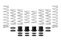 Picture of Eibach Pro-UTV 17-18 Polaris XP1000 Turbo 2-Seat Stage 2 Performance Springs