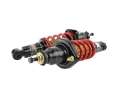 Picture of Skunk2 01-05 Honda Civic - 01-05 Acura Integra Pro-ST Coilovers Front 10 kg-mm - Rear 10 kg-mm