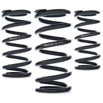 Picture of AST Linear Race Springs - 80mm Length x 35 N-mm Rate x 61mm ID - Single