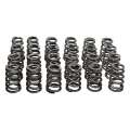 Picture of Manley Toyota Supra 2JZ 6 Cyl- Valve Spring and Retainer Kit w-Valve Locks 13014-8