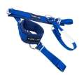 Picture of NRG SFI 3-3 Arm Restraints One Pair - Blue