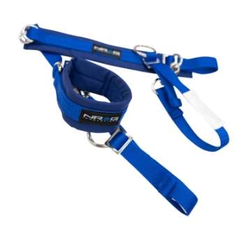 Picture of NRG SFI 3-3 Arm Restraints One Pair - Blue