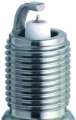 Picture of NGK GP Platinum Spark Plug Box of 4 TR55GP