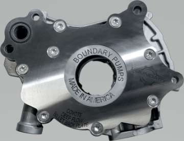 Picture of Boundary 11-17 Ford Coyote All Types V8 Oil Pump Assembly Vane Ported MartenWear Treated Gear