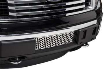 Picture of Putco 11-14 Ford F-150 - EcoBoost Grille - Stainless Steel - Punch Design Bumper Grille Inserts