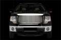 Picture of Putco 13-14 Ford F-150 - DFX Punch Designer FX Grilles