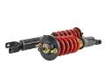 Picture of Skunk2 00-09 Honda S2000 Pro-ST Coilovers - Mono-Tube Shortened Damper