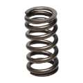 Picture of Manley Mitsubishi 4B11T 16pc Valve Springs