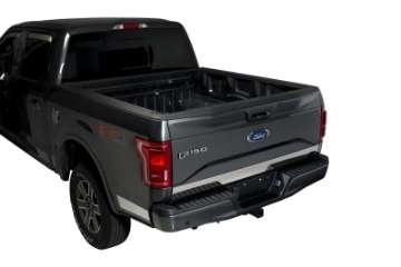 Picture of Putco 15-17 Ford F-150 - Stainless Steel - Lower Tailgate Accent - 1 pc Tailgate Accents