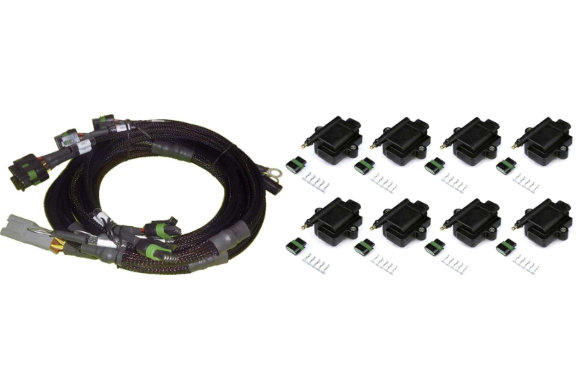 Picture of Haltech Big-Small Block Ford V8 8 Channel Individual High Output IGN-1A Inductive Coil & Harness Kit